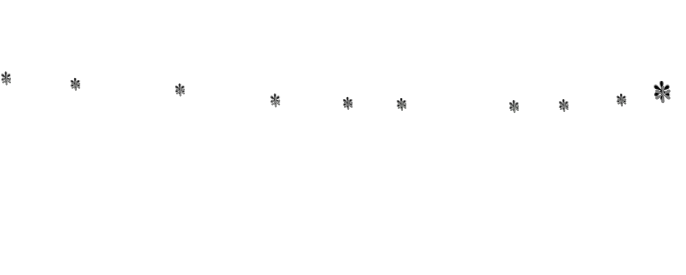 *  *  *  *  *  *  *  *  *  *